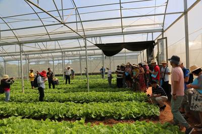 全省瓜菜新品種新技術(shù)現(xiàn)場(chǎng)觀摩會(huì)在儋州召開，推動(dòng)農(nóng)業(yè)技術(shù)研究與應(yīng)用